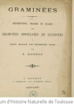 Graminées vignette