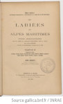 Les labiées des Alpes-Maritimes, études monographiques sur les labiées qui croissent spontanément dans la chaîne des Alpes-Maritimes et dans le département français de ce nom. Partie 2 vignette
