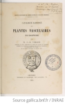 Catalogue raisonné des plantes vasculaires du Dauphiné vignette