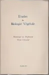 vignette