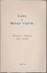 vignette