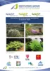 Etat des lieux des plantes exotiques envahissantes du bassin de l'Adour vignette