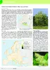 Fraxinus ornus in Europe: distribution, habitat, usage and threats vignette
